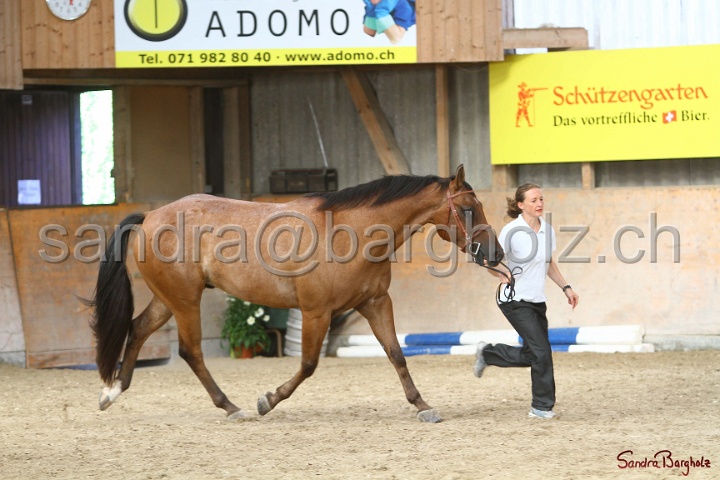 24-ApHC HIH_083.jpg